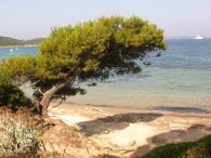 Plage de la Courtade