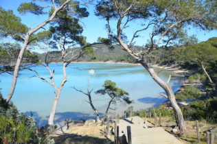 location-velo-electrique-porquerolles-la-meduse-17-plage-dargent-800