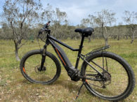 location-vtt-electrique-la-meduse-porquerolles-vignes-1