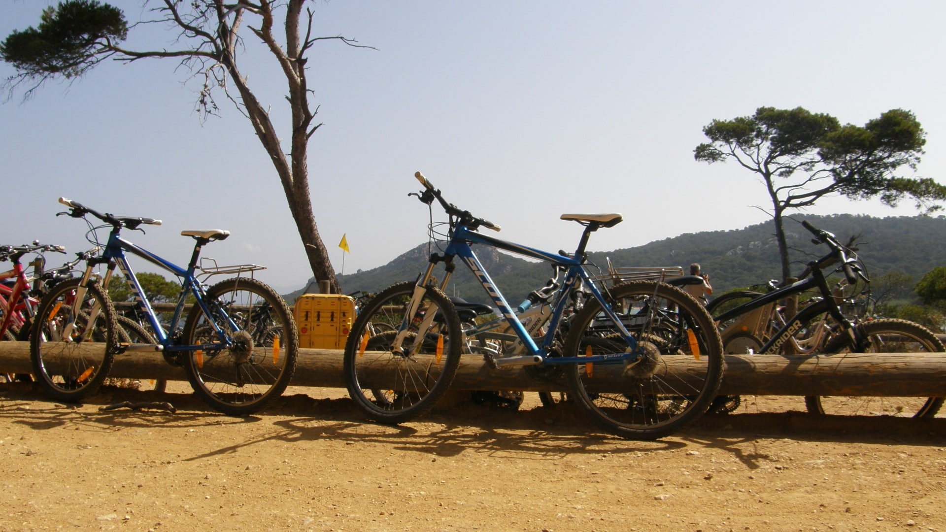 Réservation Vélos avec réduction à Porquerolles - Le Pirate